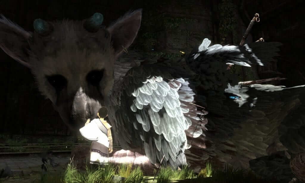The Last Guardian to Finally Reappear at E3 2015?