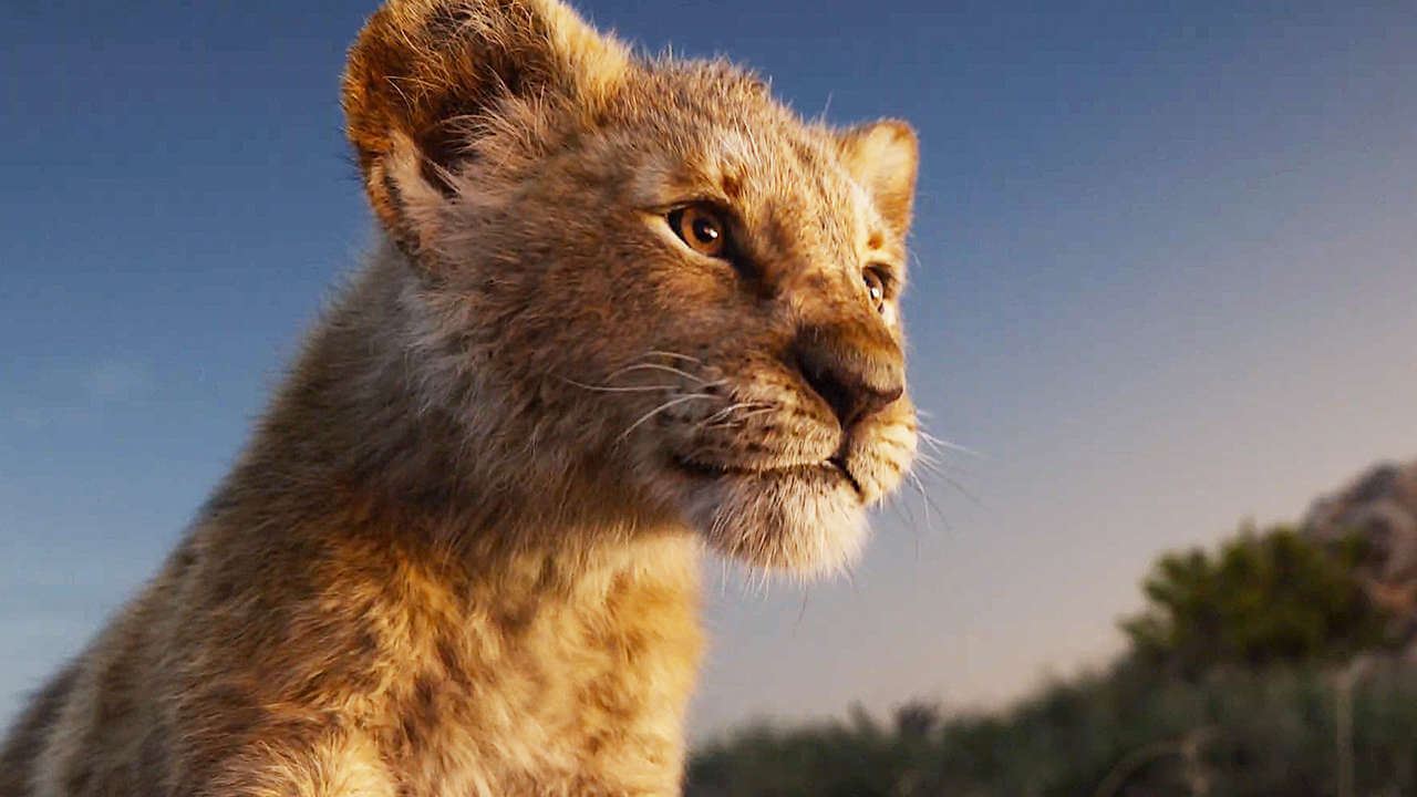 Live Action Official Lion King Trailer Drops!
