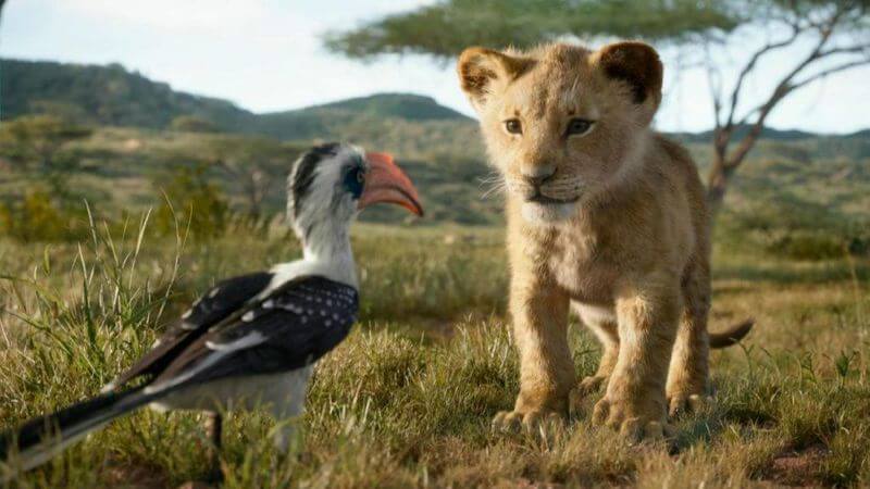 Young Simba talking to Zazu in The Lion King