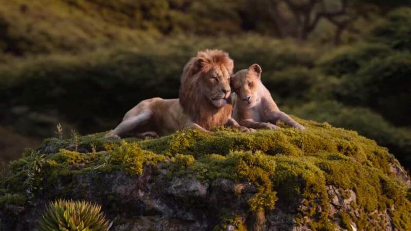 Simba and Nala cuddle in The Lion King