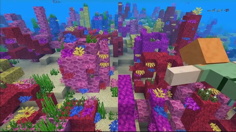 Minecraft Coral Reef