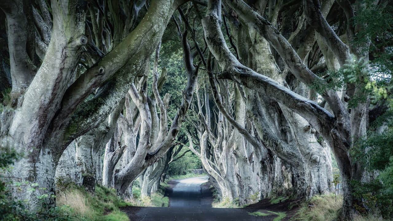 A Game Of Thrones Road Trip Through Northern Ireland