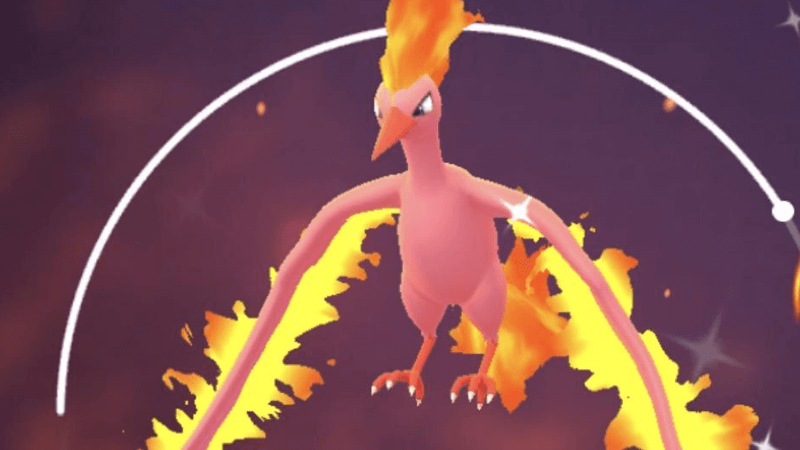 A Found Shiny Moltres in pokemon go 