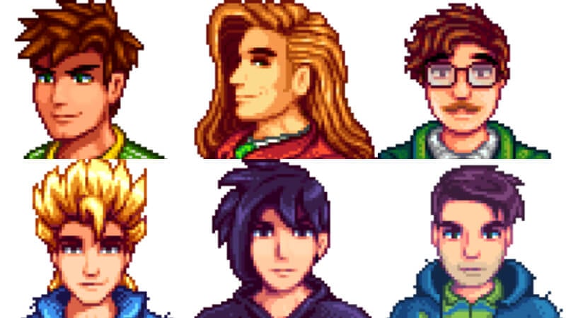 stardew valley male marriage candidates