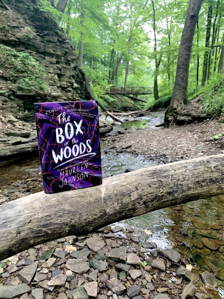 Box In The Woods