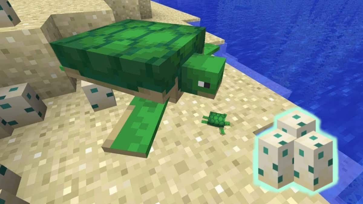 Как получить яйца морской черепахи в Minecraft