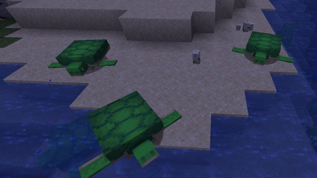 Minecraft sea turtle shell