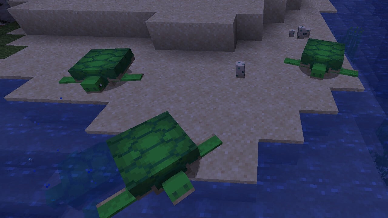Minecraft: How to Get Turtle Shells