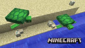 Minecraft: How To Get Sea Turtle Eggs 