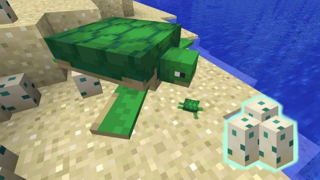 Minecraft Sea Turtle Eggs