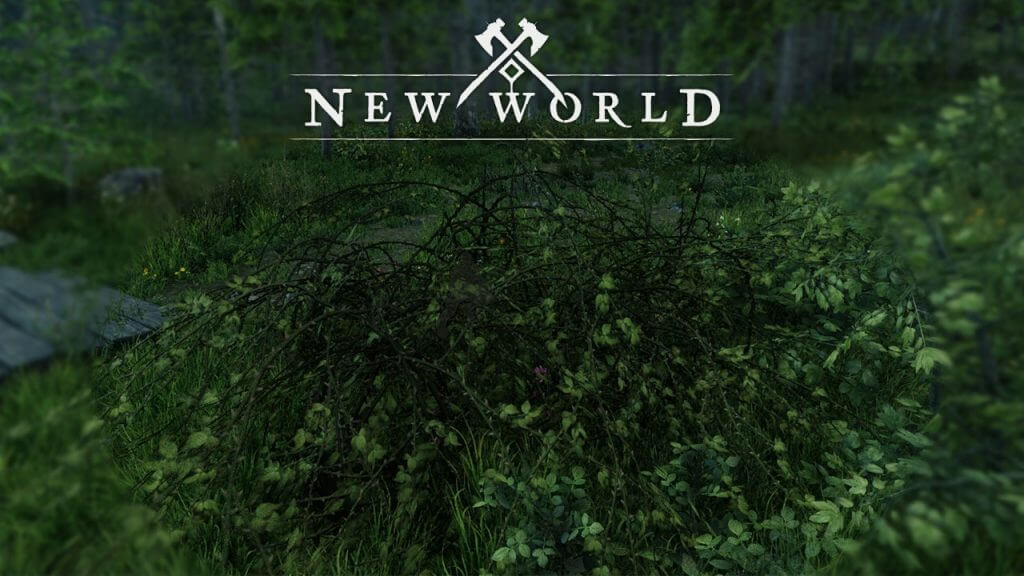 New World: How to Get Briar Branches