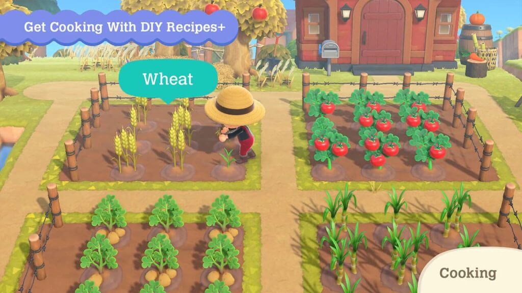 Animal Crossing 2.0: How to Get Wheat