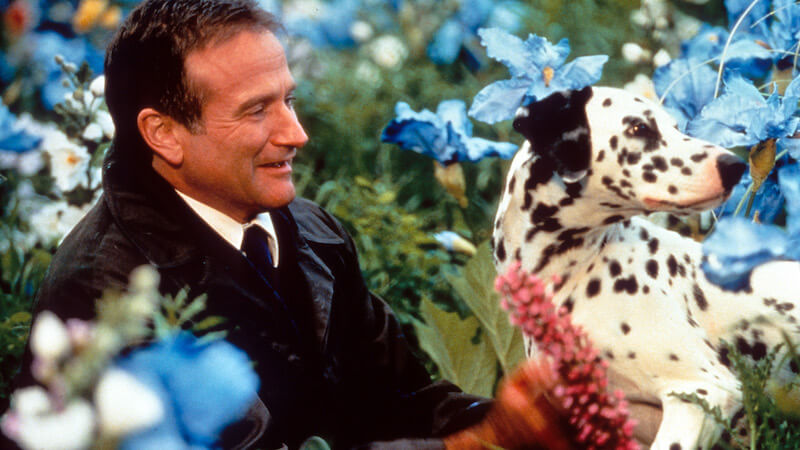 what dreams may come robin williams