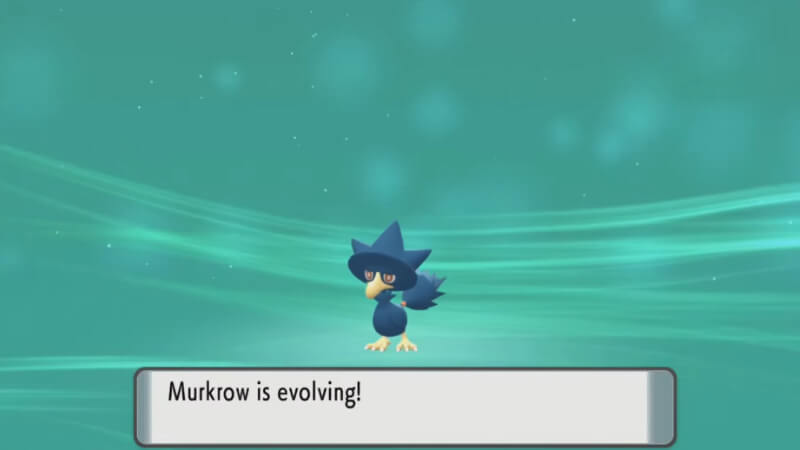 Pokémon BDSP Evolve Murkrow