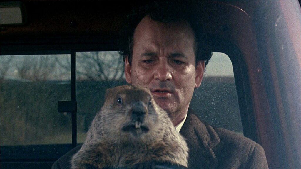 Bill Murray Ground Hog Day Movie - Well, it's Groundhog Day... again.