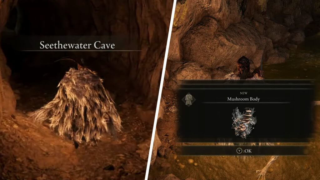 Elden Ring Seethewater Cave And Mushroom Armor Set