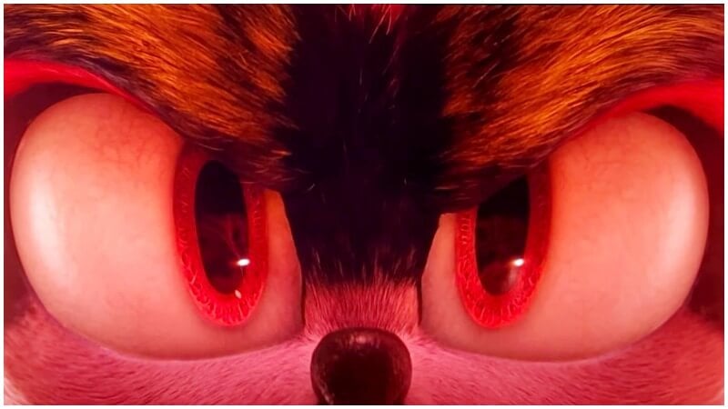Shadow the Hedgehog - Sonic Movie 2 Post-Credits Closeup