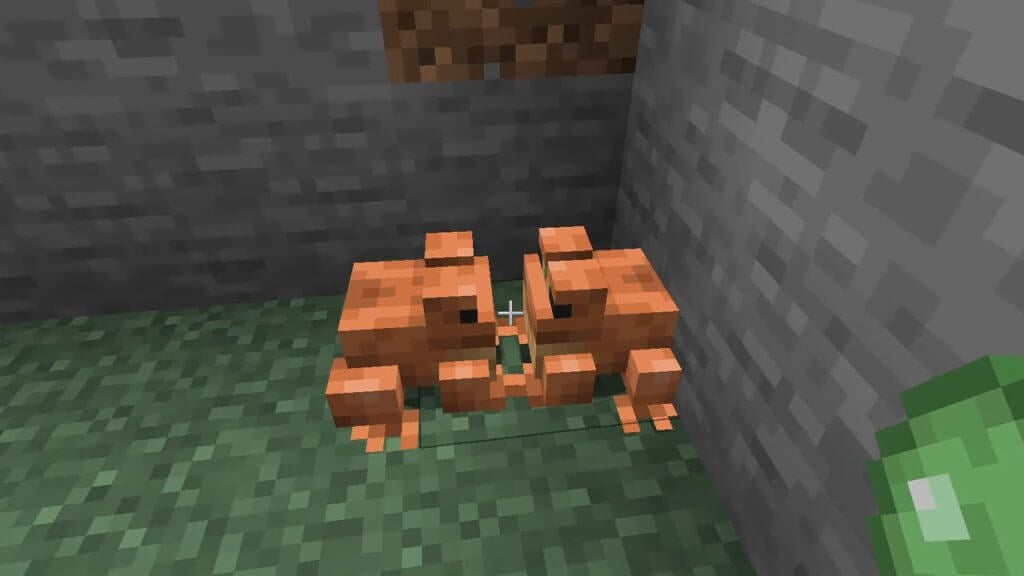 Minecraft Breed Frogs