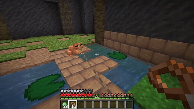 Minecraft apprivoiser les grenouilles