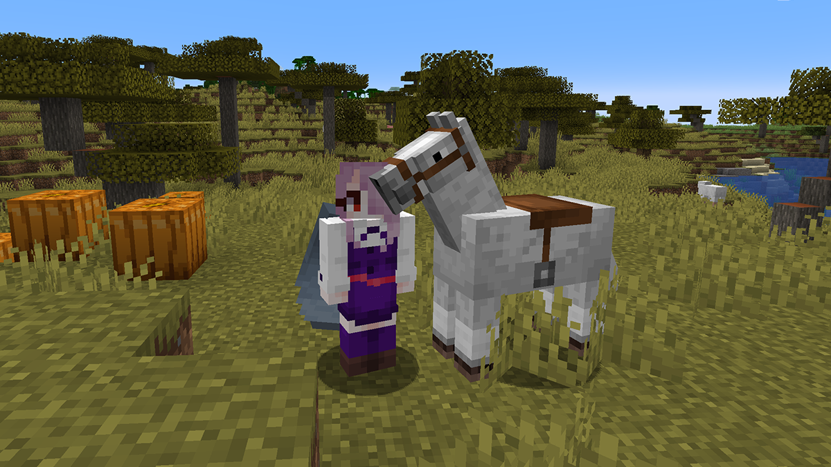 comment apprivoiser un cheval squelette dans minecraft