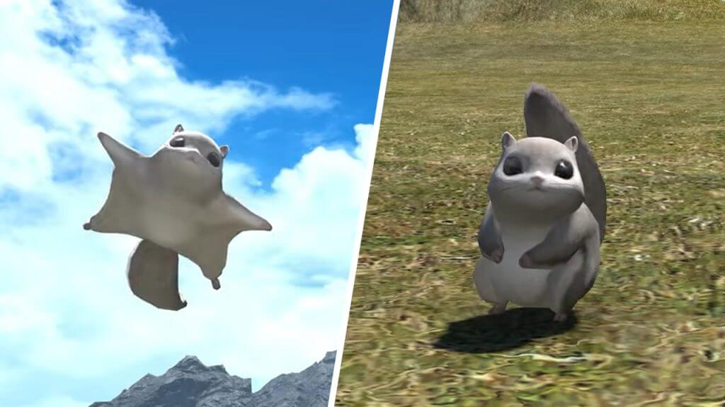 Final Fantasy XIV How to Get the Pterosquirrel Minion