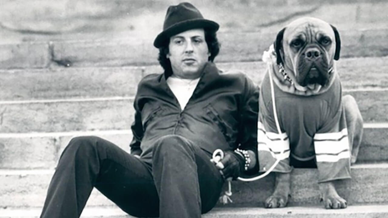 sylvester-stallone-replaces-wifes-tattoo-with-his-late-dog-butkus