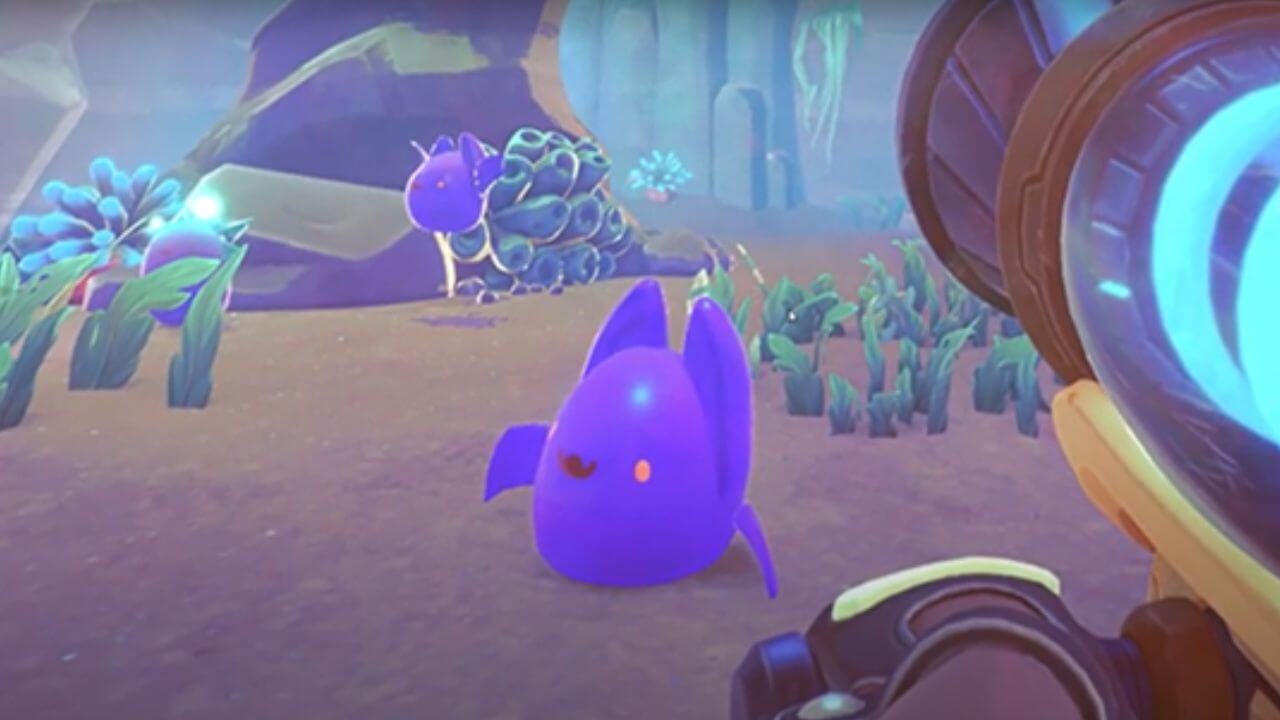 Slime Rancher 2: Where to find Batty Slimes