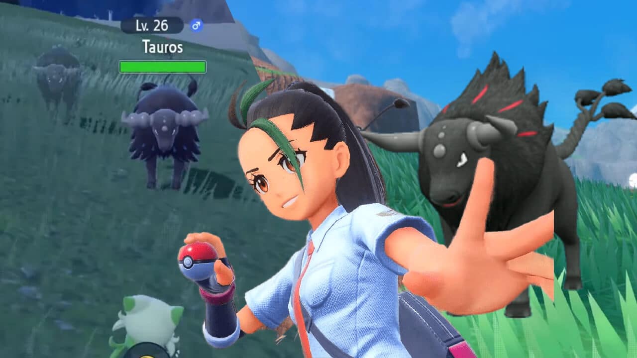 How To Find Fire and Water Tauros in Pokémon Scarlet and Violet