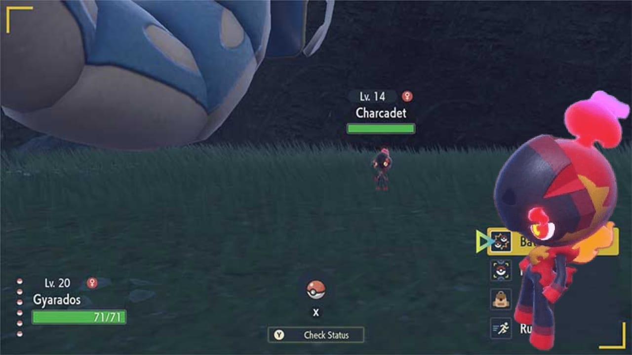 How to FORCE Shiny Charcadet to spawn in Pokemon Scarlet Violet