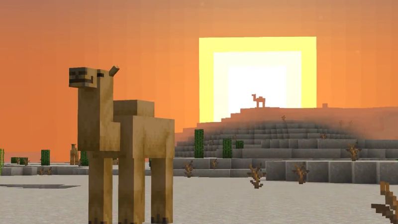 Two camels under the sun in Minecraft
