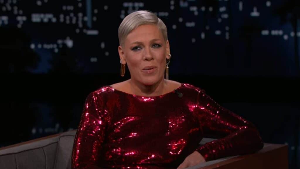 Pink borrowed a dress from Cher