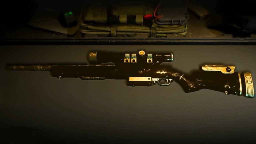 Sp-R-208 Gold Camo in Modern Warfare 2