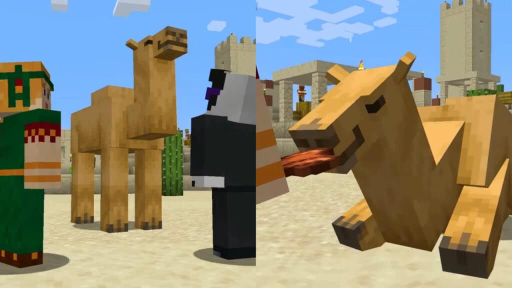 Split image of a Camel standing up in Minecraft and a Camel eating in Minecraft