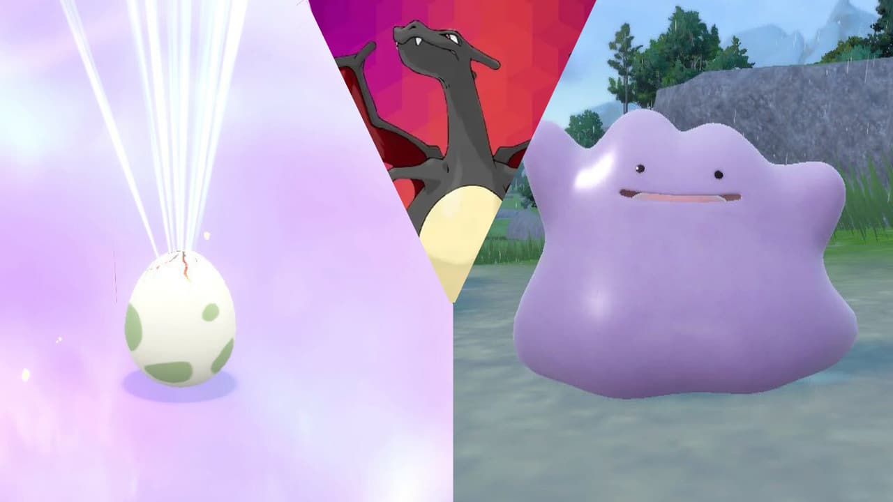 كيفية الحصول على Charizard اللامع في Pokémon Scarlet و Violet