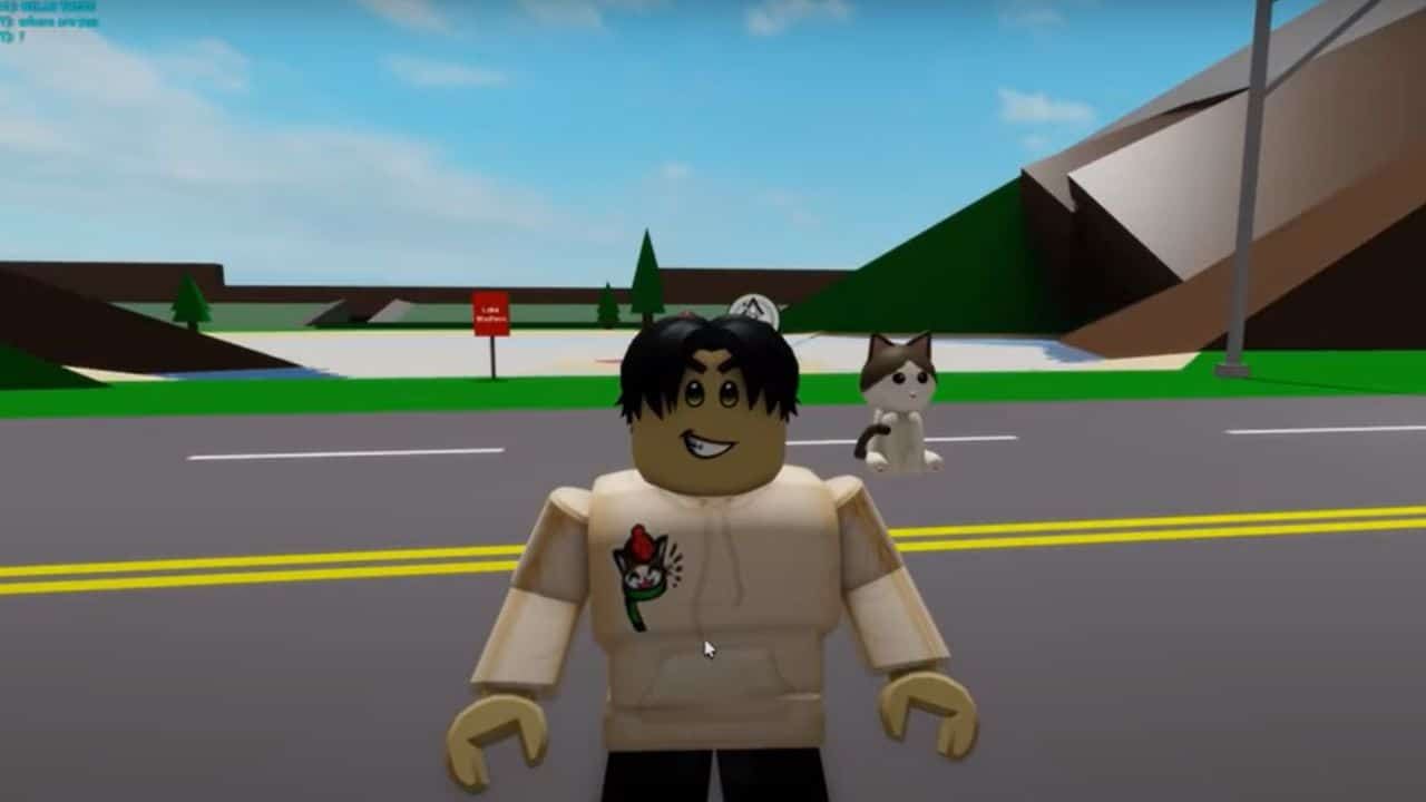 brookhavencode #brookhaven #roblox #fyp #viral @_roblox_.12