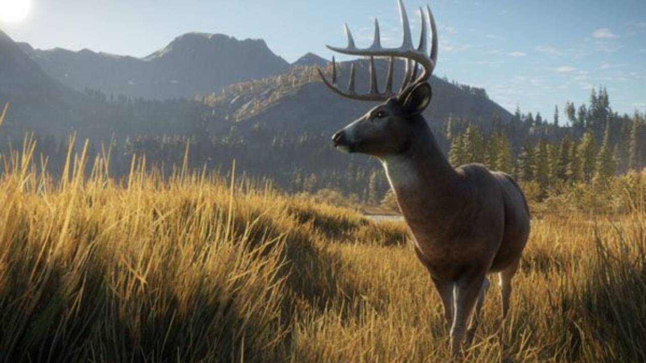 theHunter: Call of the Wild Update 1.77 for July 6 Gallops Out