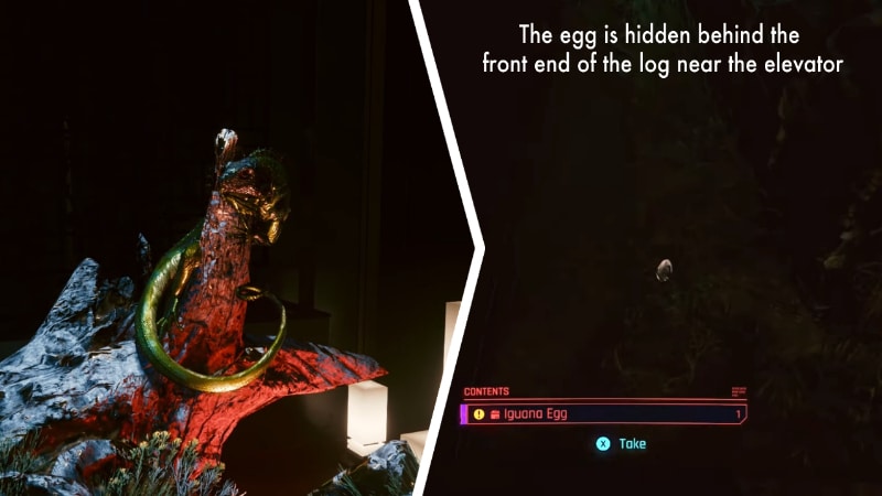 iguana egg cyberpunk ps4