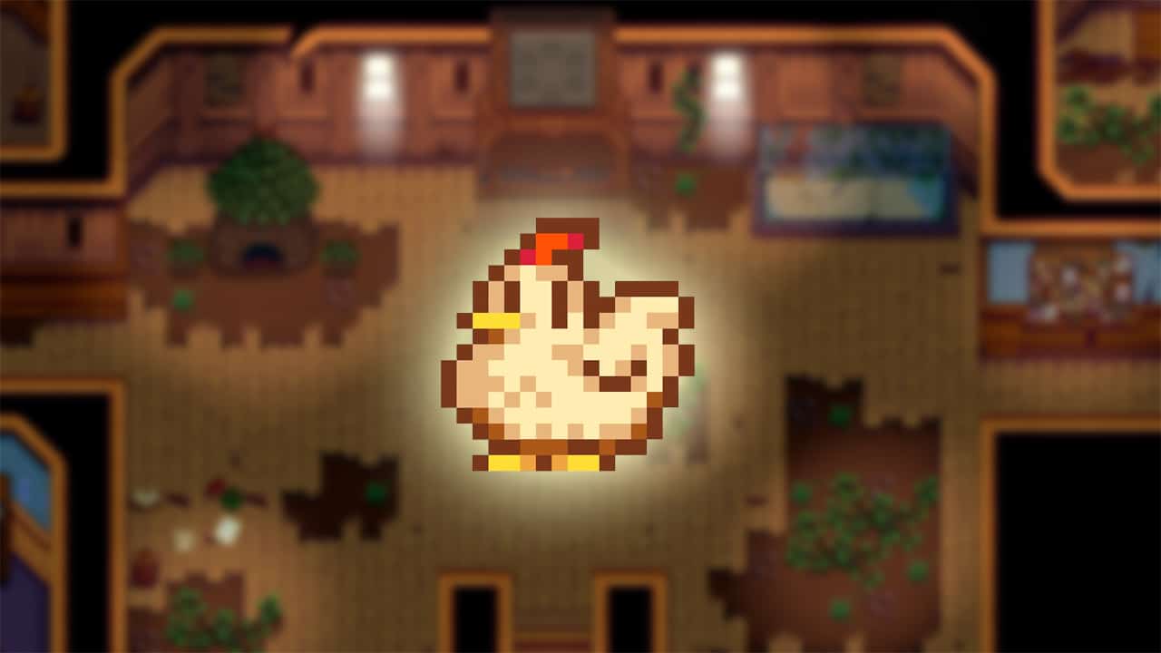 How To Feed Chickens In Stardew Valley 