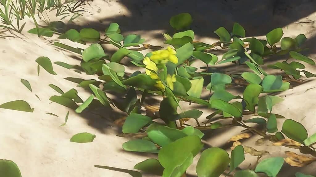 Pipi Plant In Stranded Deep Image Sourced from Stranded Deep Wiki