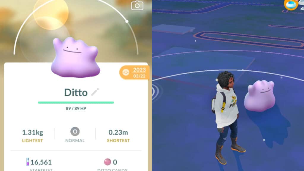 how to catch ditto pokemon go
