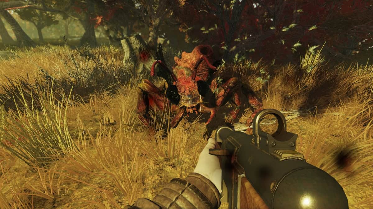 Лучшие локации медовых зверей в Fallout 76