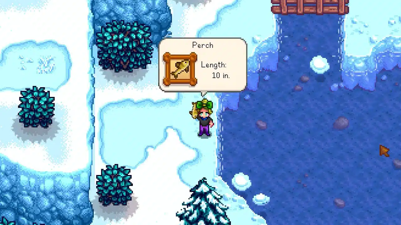 Where to Catch Perch in Stardew Valley | The Nerd Stash 