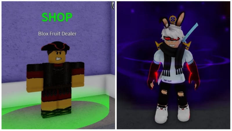 Roblox Blox Fruits Shadow Fruit In-game read Description 