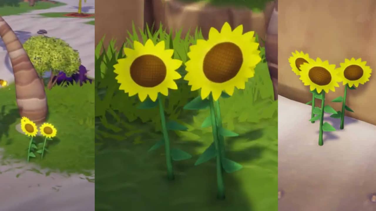 What version of sunflower is your favorite? : r/PlantsVSZombies