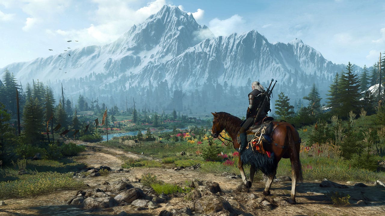 Fps для the witcher 3 фото 5