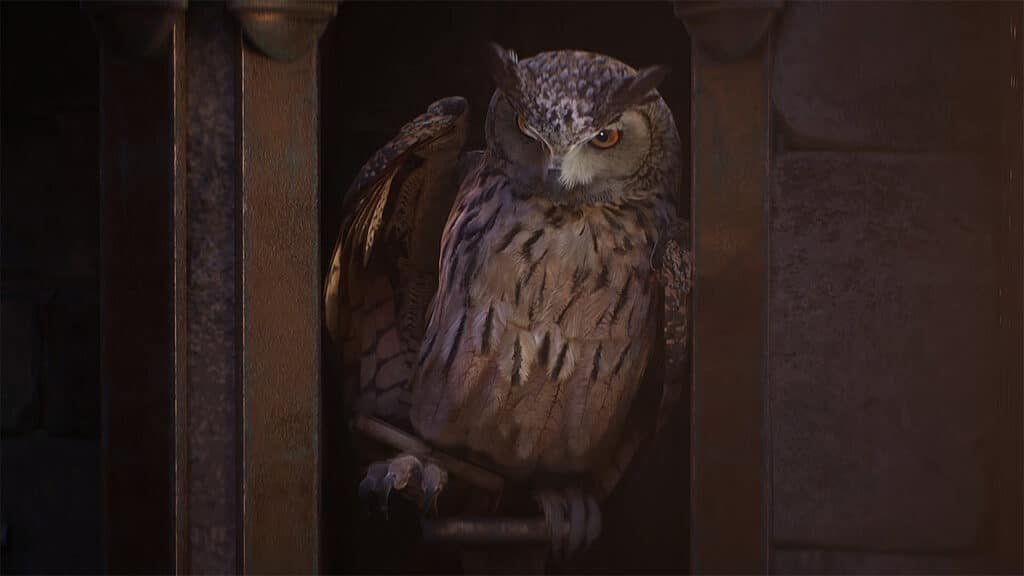 Can-You-Become-Animagus-in-Hogwarts-Legacy