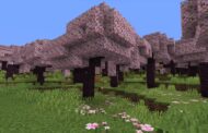 There Are Now Cherry Blossoms In Minecraft