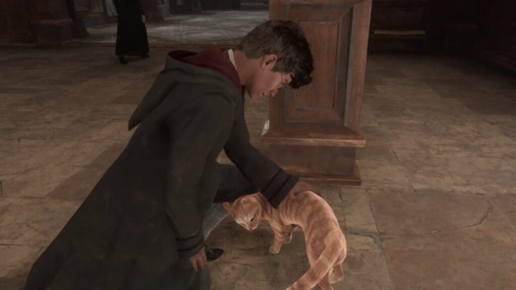 A student pets a cat in Hogwarts Legacy