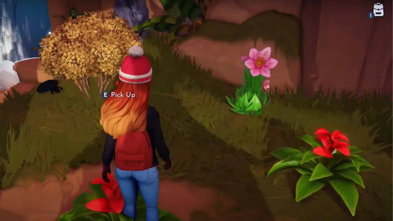 How to find Red Bromeliad in Disney Dreamlight Valley