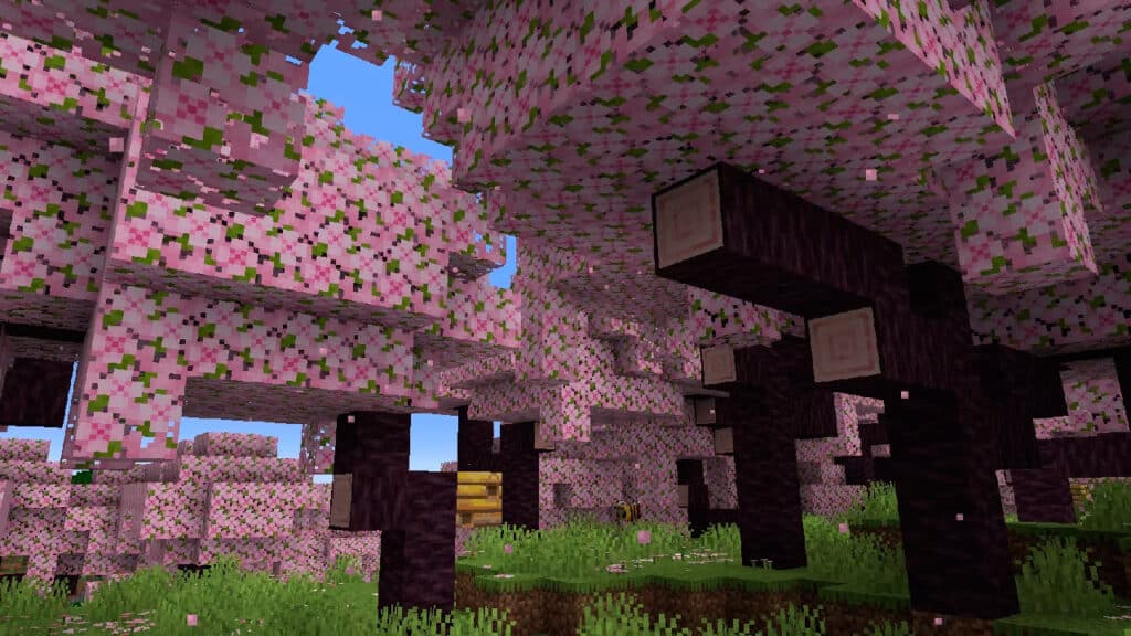 How to Get Cherry Blossoms in Minecraft Early